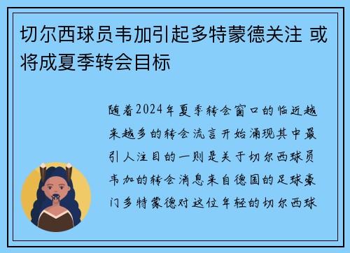 切尔西球员韦加引起多特蒙德关注 或将成夏季转会目标